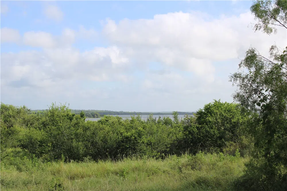 Lot 2 Vista Fina Drive Sandia, TX 78383