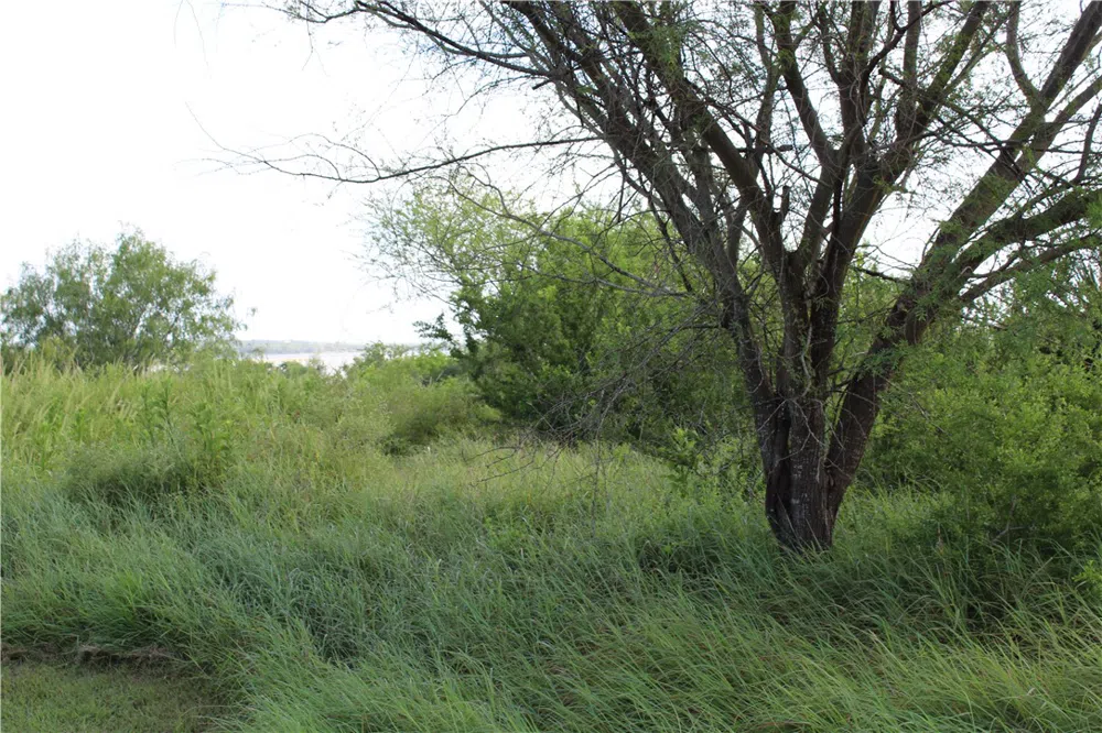 Lot 2 Vista Fina Drive Sandia, TX 78383