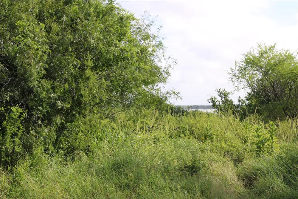 Lot 2 Vista Fina Drive Sandia, TX 78383