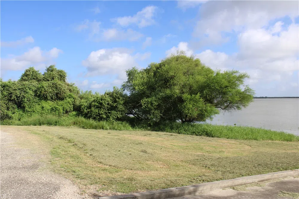 Lot 2 Vista Fina Drive Sandia, TX 78383
