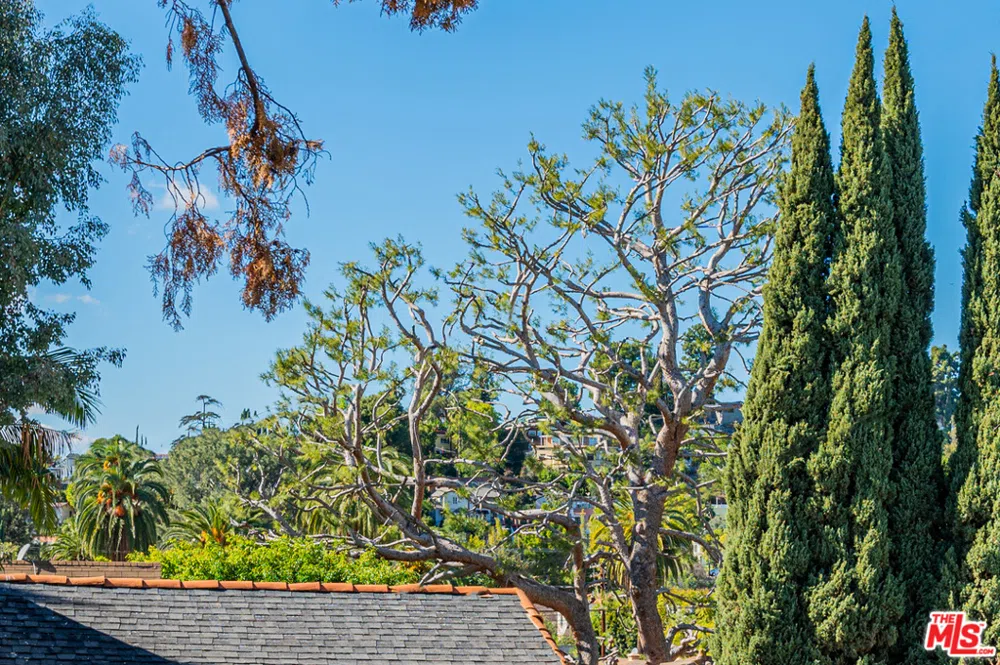 2146 Beachwood Terrace Los Angeles, CA 90068