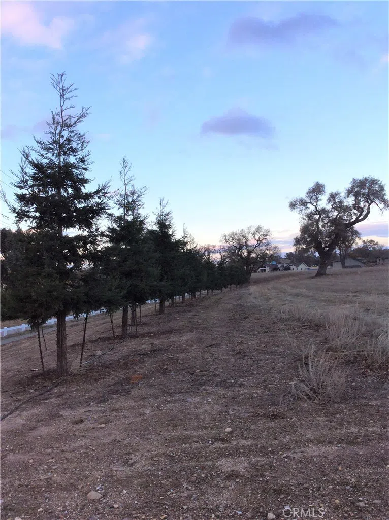 1320 Fire Rock Loop Templeton, CA 93465