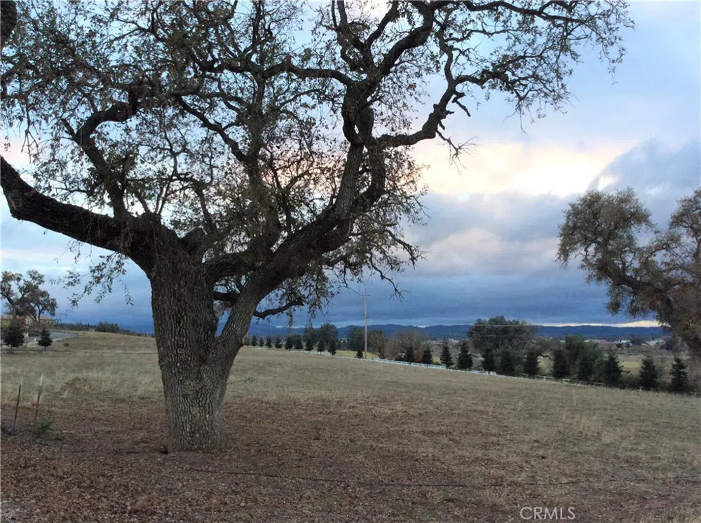 1320 Fire Rock Loop Templeton, CA 93465