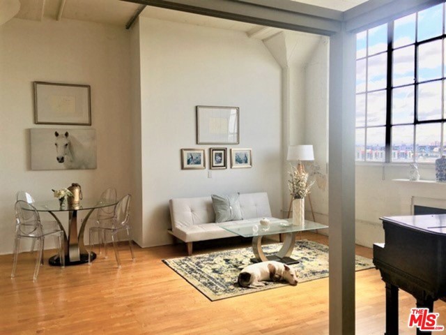 420 S San Pedro Street #523 Los Angeles, CA 90013