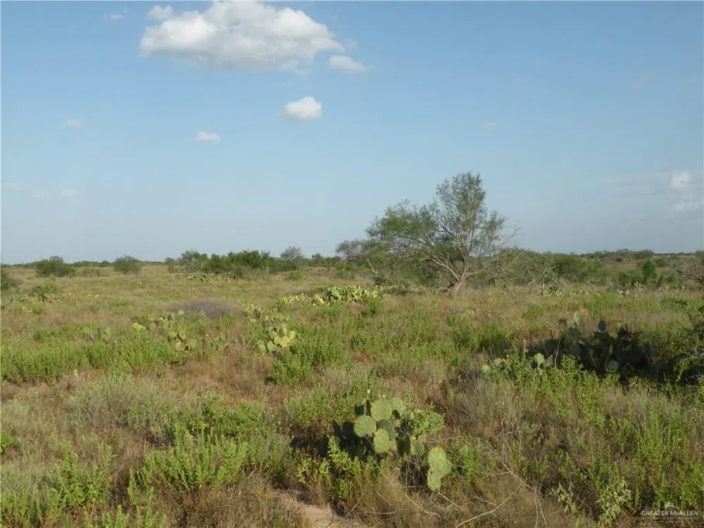 0 FM 1017 Highway Agua Nueva, TX 78361
