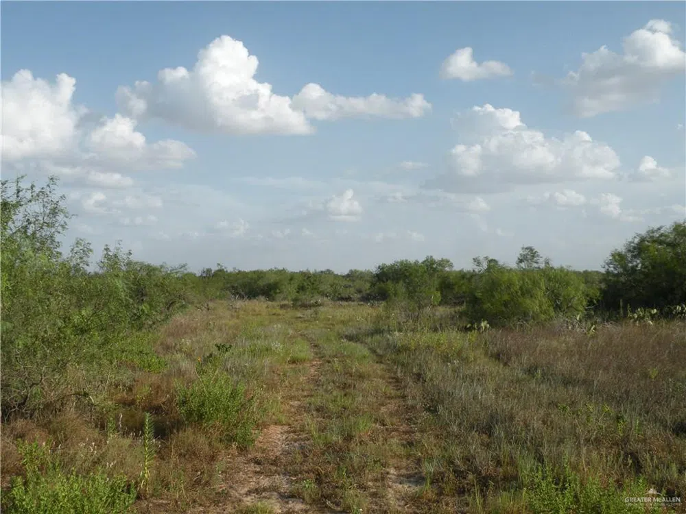 0 FM 1017 Highway Agua Nueva, TX 78361