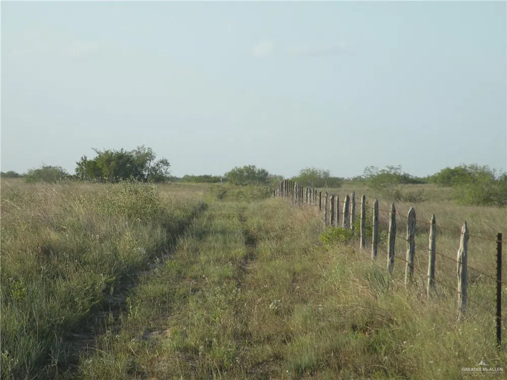 0 FM 1017 Highway Agua Nueva, TX 78361