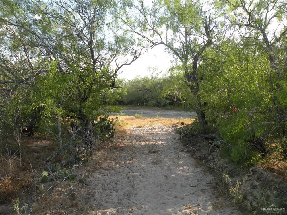 0 FM 1017 Highway Agua Nueva, TX 78361