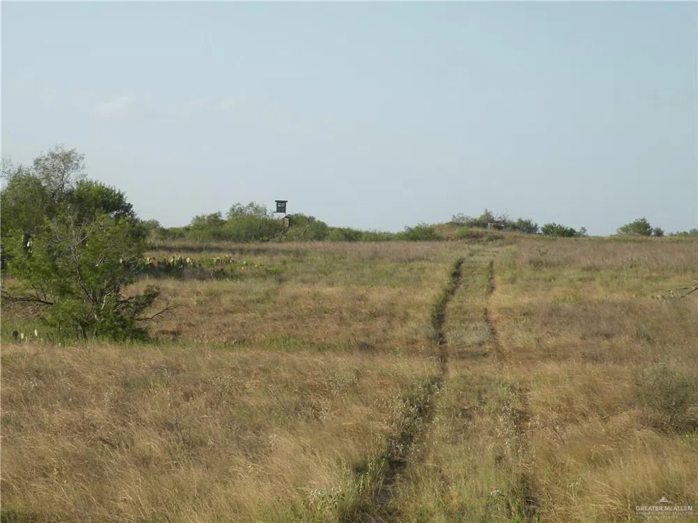 0 FM 1017 Highway Agua Nueva, TX 78361