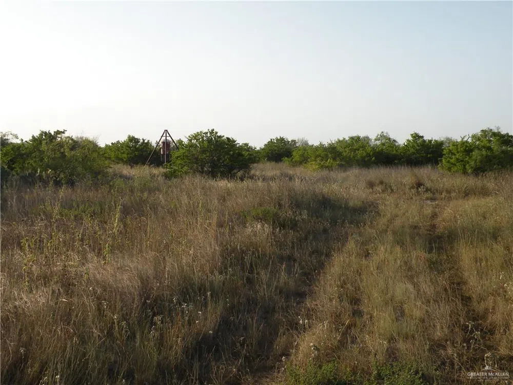 0 FM 1017 Highway Agua Nueva, TX 78361