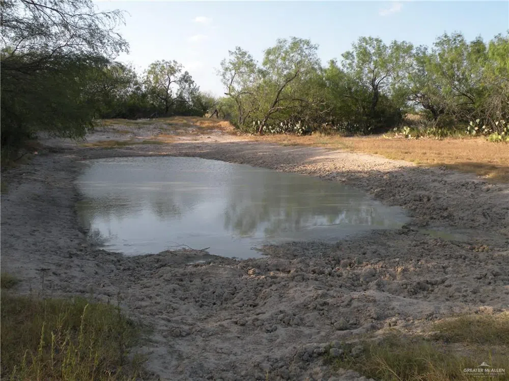 0 FM 1017 Highway Agua Nueva, TX 78361