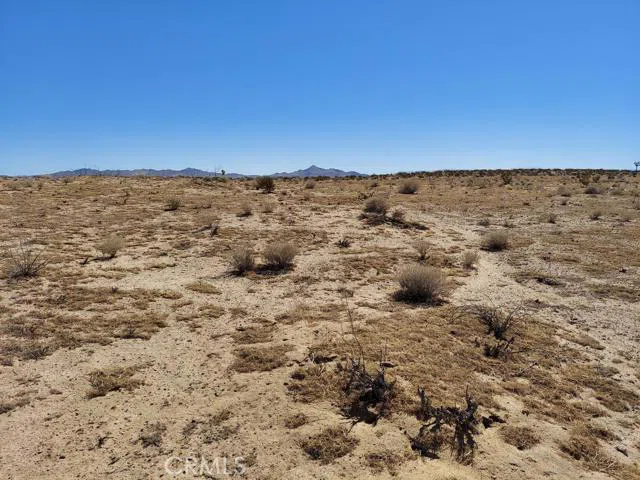 Bellflower Street Adelanto, CA 92301