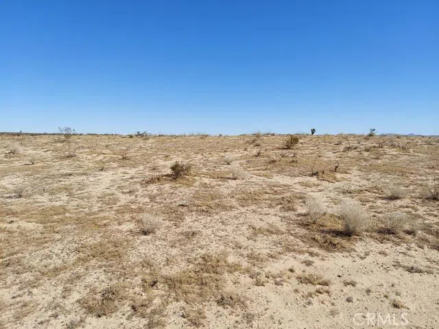 Bellflower Street Adelanto, CA 92301