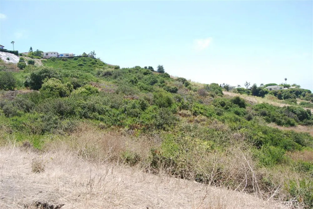 170 AVENIDA PRESIDIO San Clemente, CA 92672