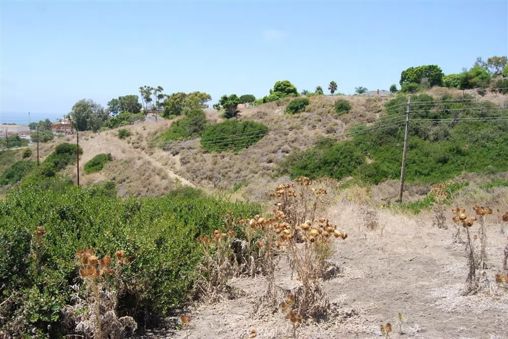 170 AVENIDA PRESIDIO San Clemente, CA 92672