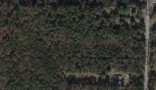 Pine Orchard Greenwood, LA 71129