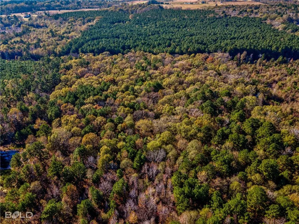 Pine Orchard Greenwood, LA 71129