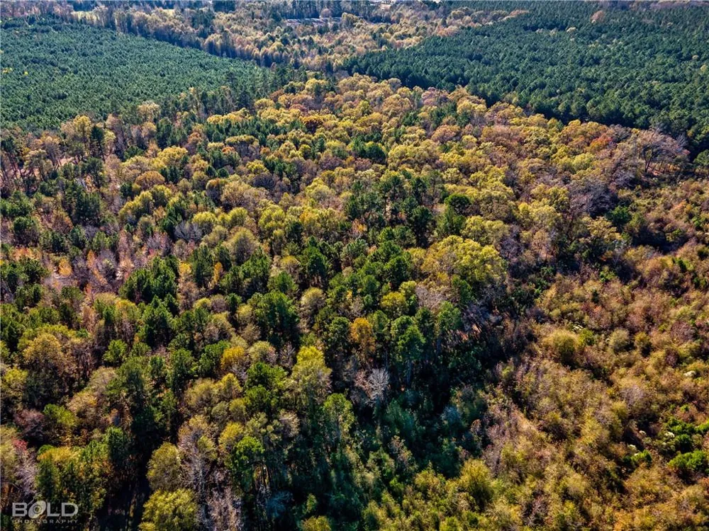 Pine Orchard Greenwood, LA 71129