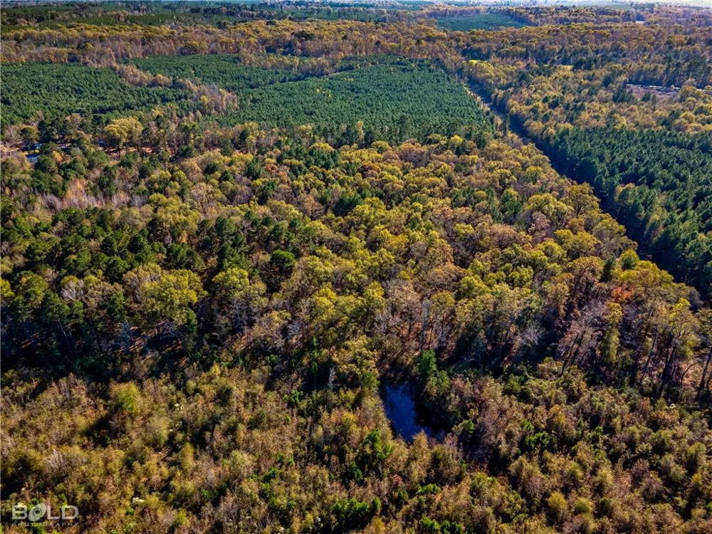 Pine Orchard Greenwood, LA 71129