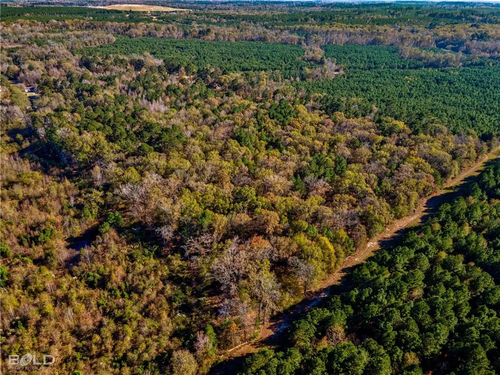 Pine Orchard Greenwood, LA 71129