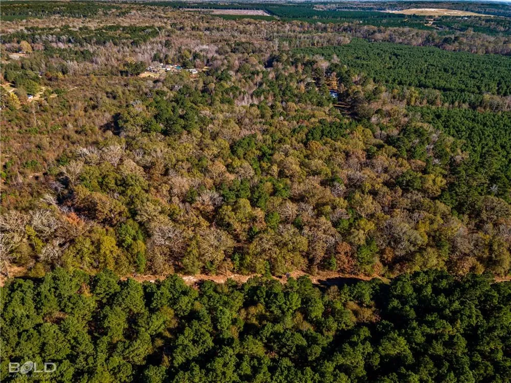Pine Orchard Greenwood, LA 71129