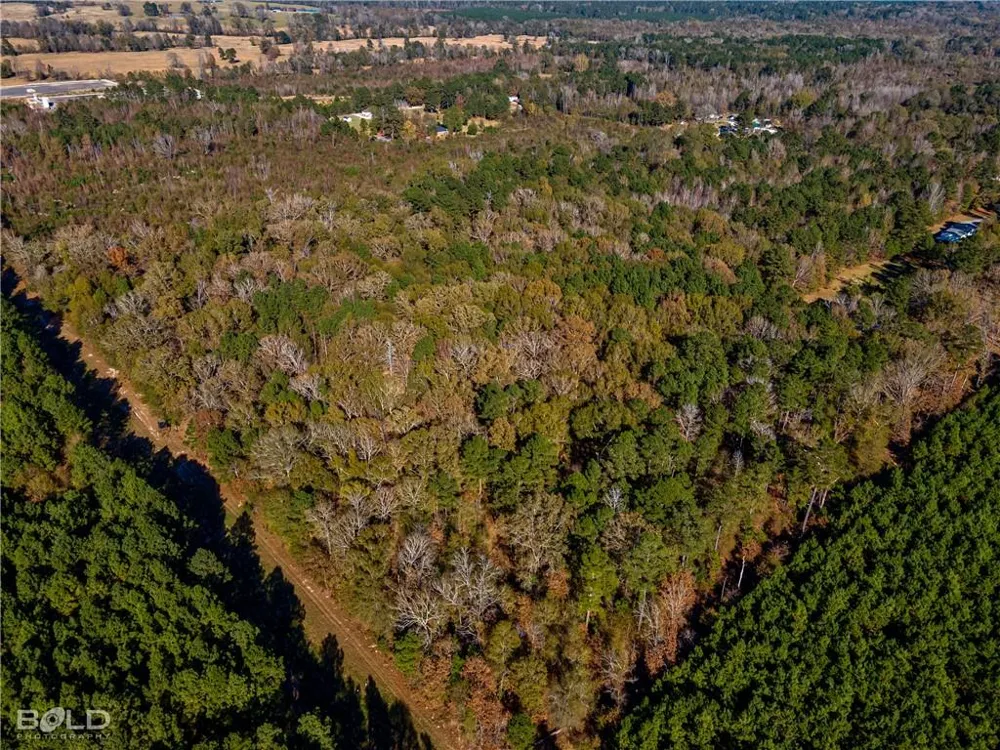 Pine Orchard Greenwood, LA 71129
