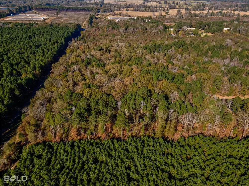 Pine Orchard Greenwood, LA 71129