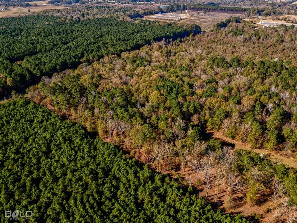 Pine Orchard Greenwood, LA 71129