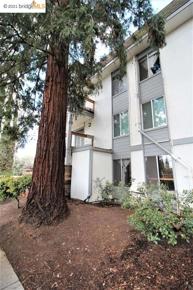 4081 Clayton Rd #338 Concord, CA 94521