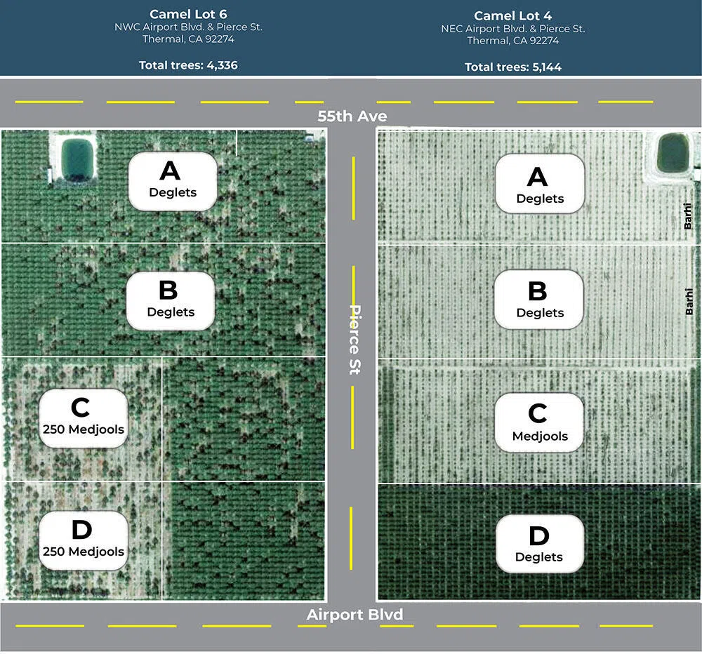 Pierce St & Airport Blvd Thermal, CA 92274