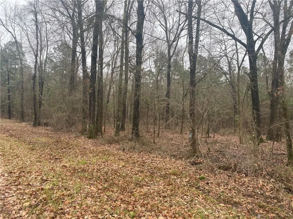 East Linton Road Benton, LA 71006