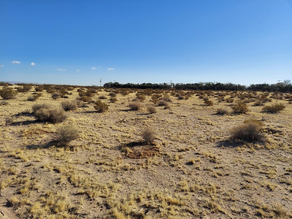 1 Valley Center Road Newberry Springs, CA 92365