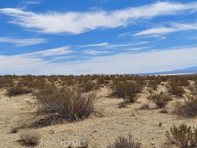 1 Locust Avenue California City, CA 93523