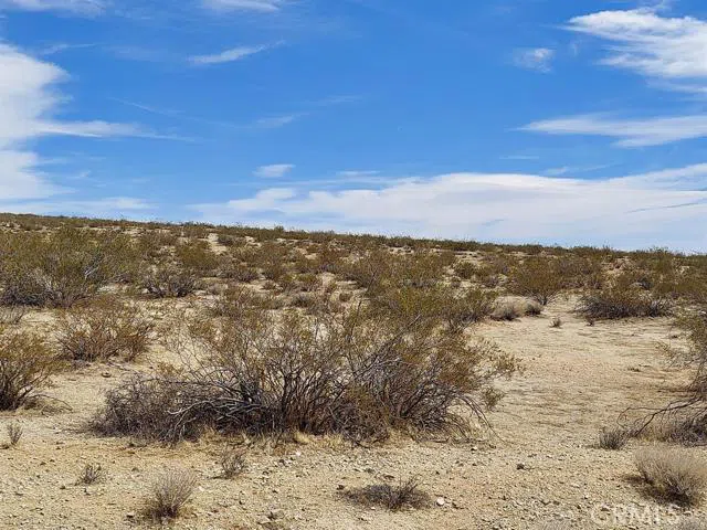 1 Locust Avenue California City, CA 93523