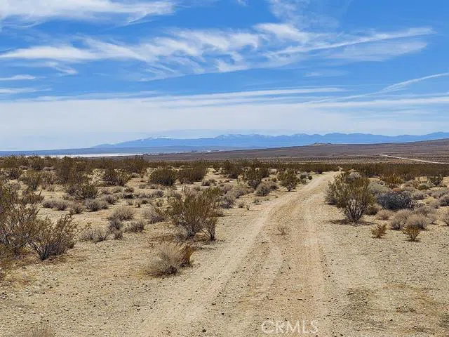 1 Locust Avenue California City, CA 93523