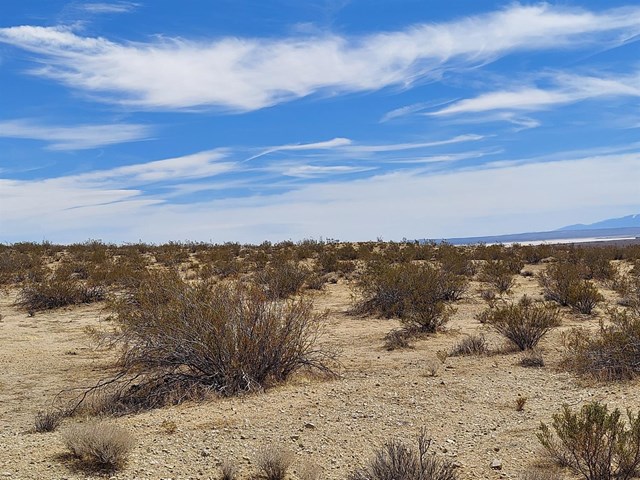 1 Locust Avenue California City, CA 93523