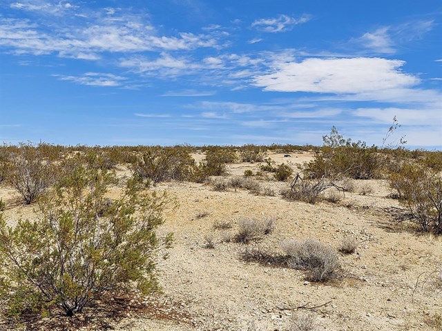 1 Locust Avenue California City, CA 93523