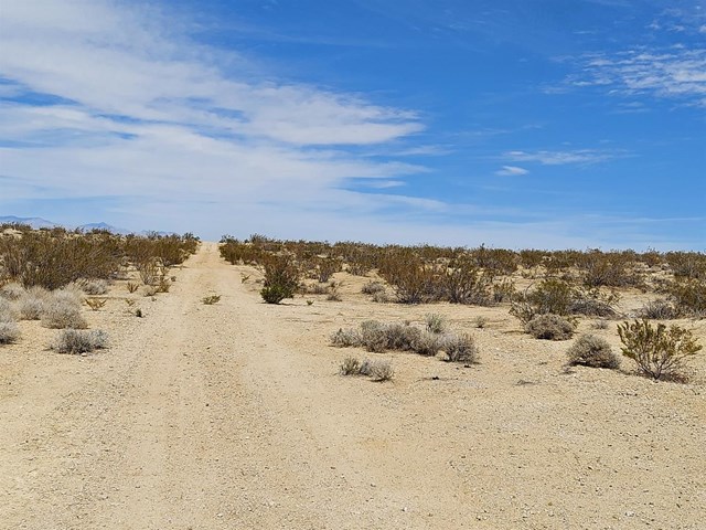 1 Locust Avenue California City, CA 93523
