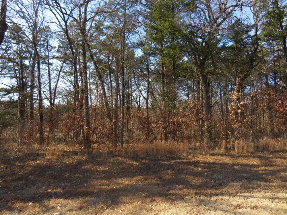 3 Annadale Lane Gordonville, TX 76245