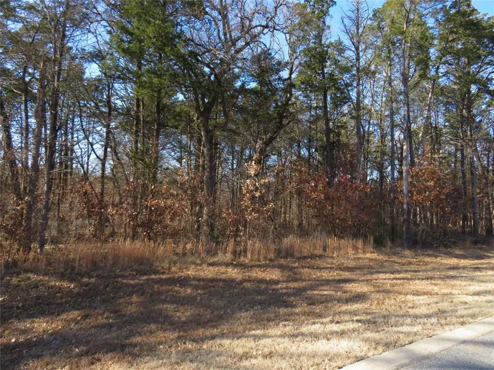 3 Annadale Lane Gordonville, TX 76245