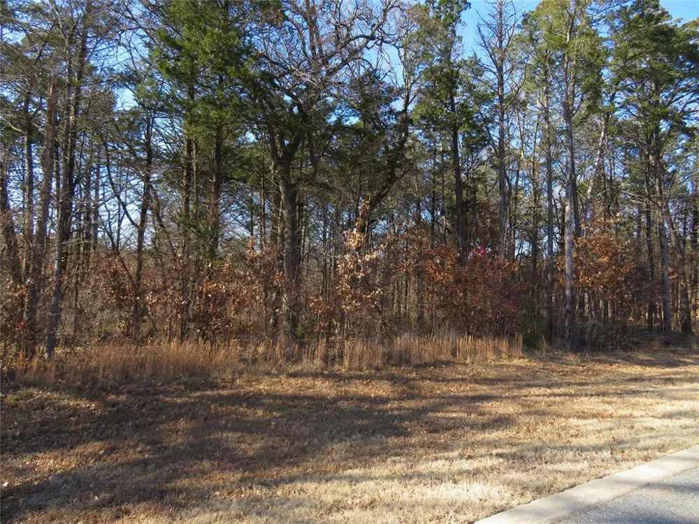 3 Annadale Lane Gordonville, TX 76245
