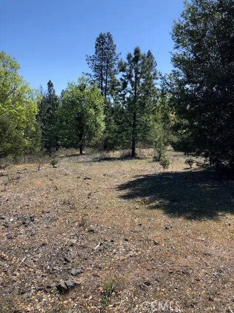 6736 Harrington Flat Road Loch Lomond, CA 95461