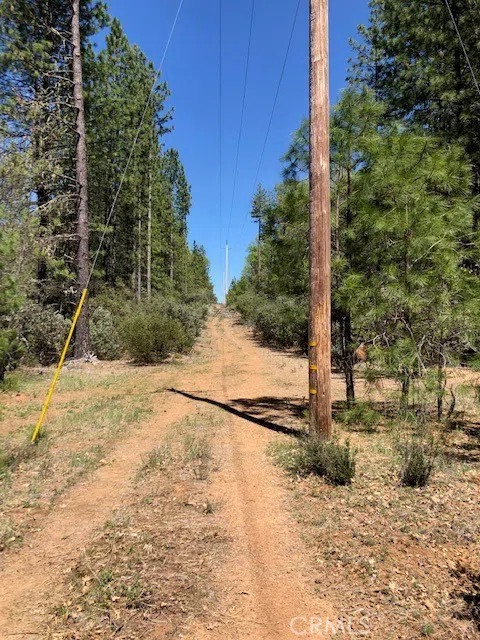 6736 Harrington Flat Road Loch Lomond, CA 95461