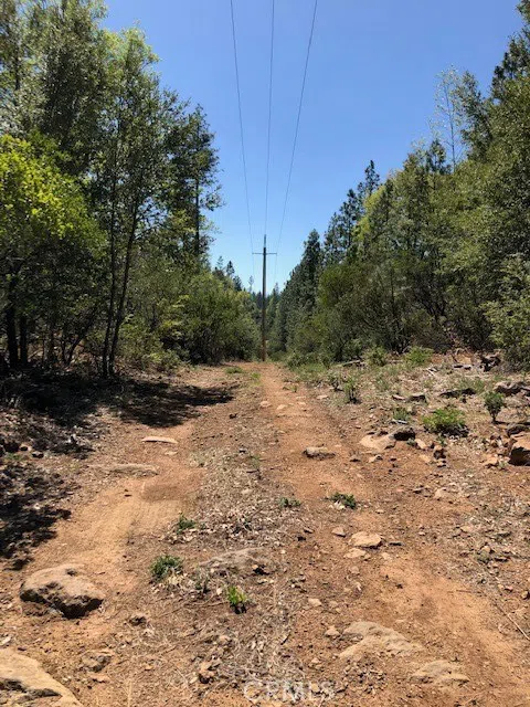 6736 Harrington Flat Road Loch Lomond, CA 95461