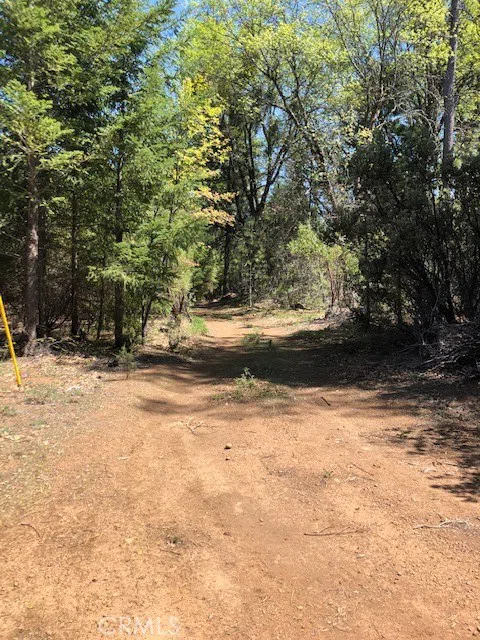6736 Harrington Flat Road Loch Lomond, CA 95461
