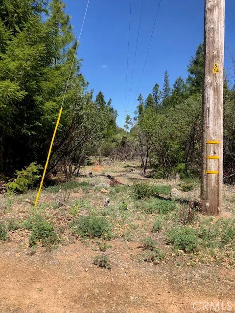 6736 Harrington Flat Road Loch Lomond, CA 95461