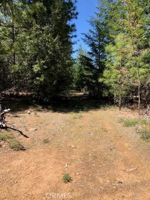 6736 Harrington Flat Road Loch Lomond, CA 95461