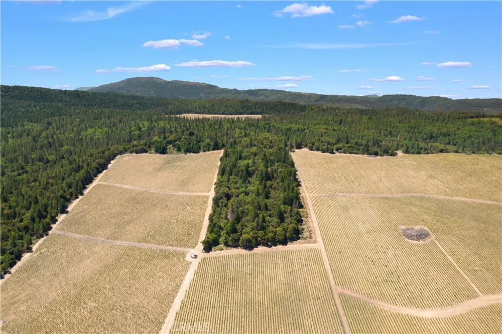 6736 Harrington Flat Road Loch Lomond, CA 95461