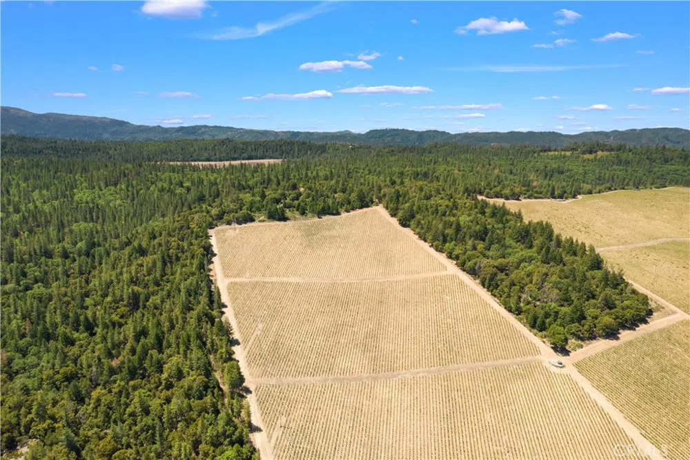 6736 Harrington Flat Road Loch Lomond, CA 95461