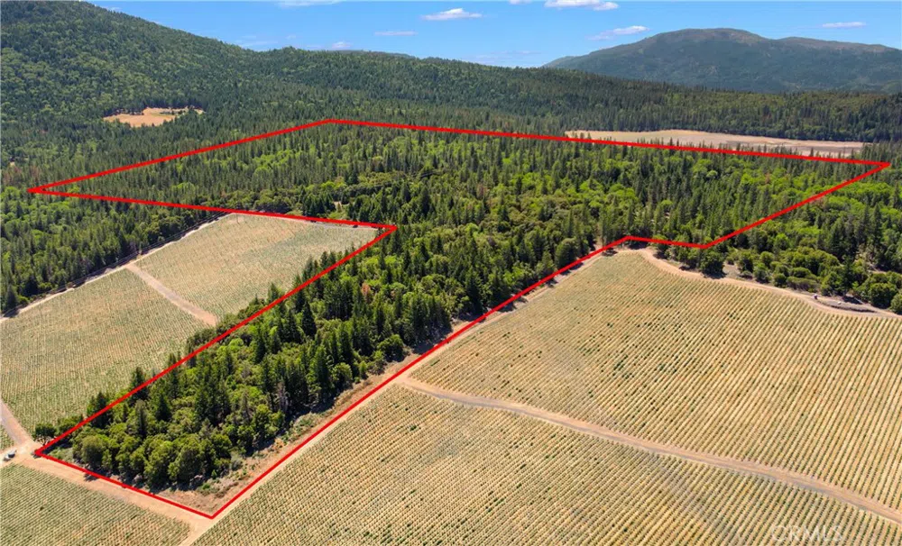 6736 Harrington Flat Road Loch Lomond, CA 95461